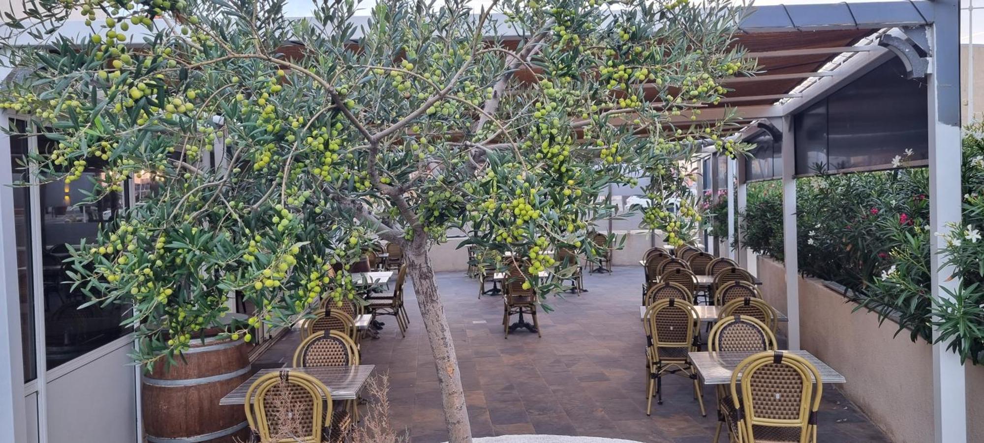 Hotel Restaurant Calypso Фос-сюр-Мер Экстерьер фото
